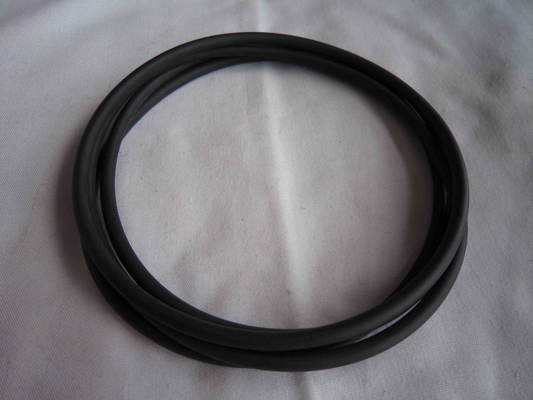High Temperature Resistance Coating with 3 Months Warranty from China Manufacturer 0634313049 O-ring