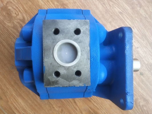 LGMC Various Model for Good Quality 11C0010 Gear Pump